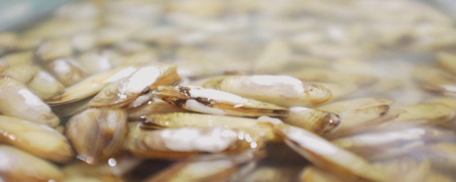 蚬肉如何清洗(干蚬子肉干怎么清洗)