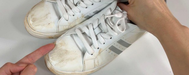 怎么洗运动鞋(怎么洗运动鞋才不会臭)