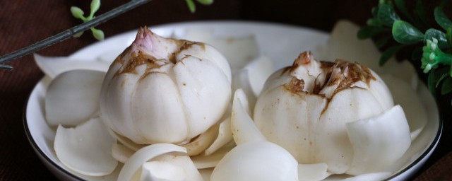 新鲜百合煲汤怎么做(百合煲汤怎么做好吃)