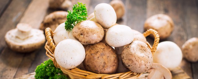 蘑菇是发物吗(金针菇是发物吗)