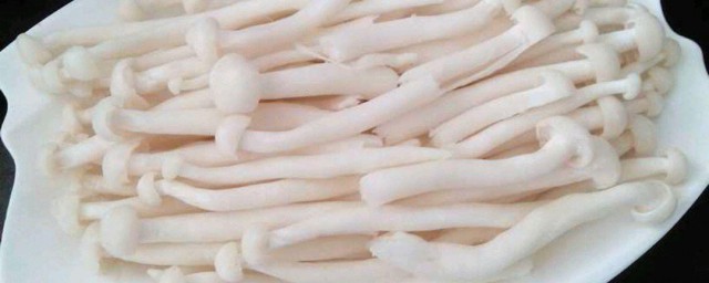 盘点蟹味菇的禁忌与作用(蟹味菇的功效与作用及食用方法)