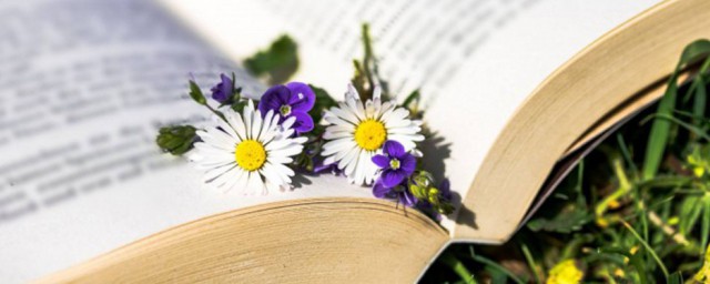 留取丹心照汗青解释(留取丹心照汗青中汗青的意思)