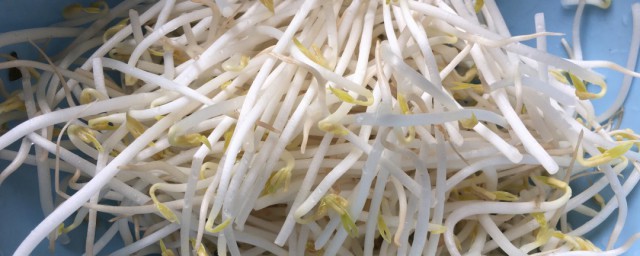 清洗豆芽的方法(怎么洗豆芽干净)