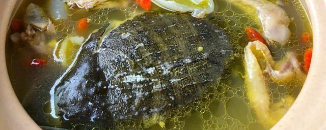 甲鱼汤怎么做好吃(甲鱼汤怎么做好吃又简单)