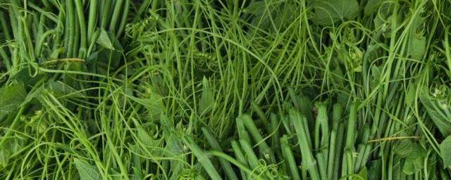 凉拌龙须菜做法步骤(龙须菜凉拌菜做法大全)