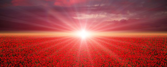 太阳是什么物体(太阳是个什么物体)