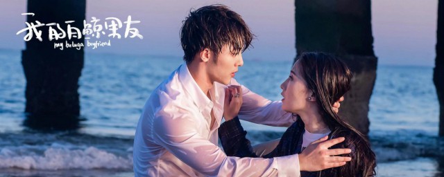 我的白鲸男友内容(我的白鲸男友剧情介绍)