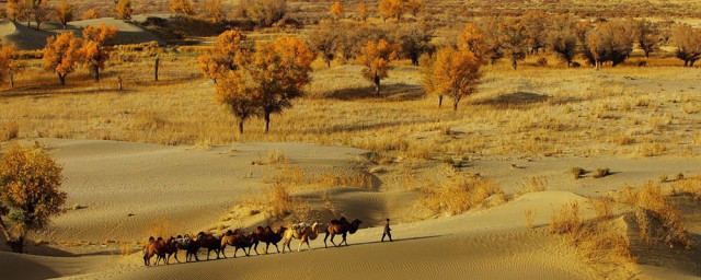 新疆南疆四地州简单介绍