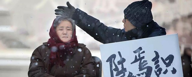 电影归来简介(电影归来百度百科)