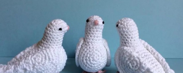 白兰鸽象征着什么(白鸽象征着什么?)