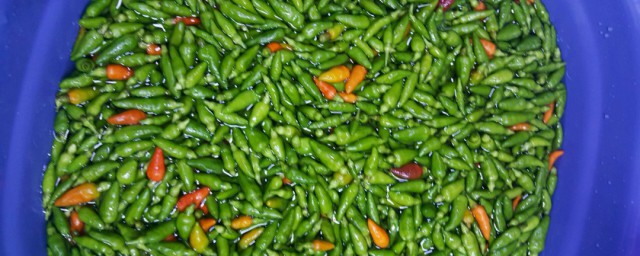 辣椒清洗干净的方法(辣椒怎么清洗比较好)