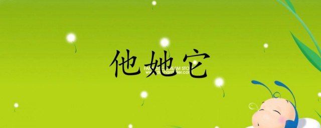 他她它的用法(他她它的用法区别英语)