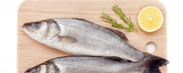 但爱鲈鱼美的全文(但爱鲈鱼美的翻译)