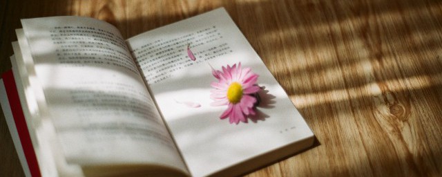 长竿入城的译文是什么(截竿入城的译文)