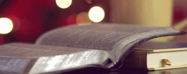 狐狸分奶酪介绍(狐狸分奶酪奶酪)