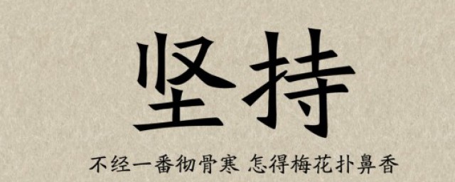 坚持是什么意思(坚持不懈是什么意思)