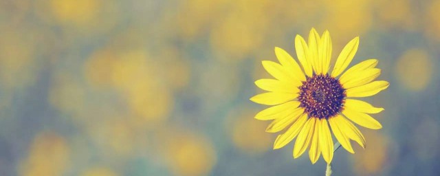 希望越大失望越大经典语句有哪些(希望越大失望越大下句怎么说)