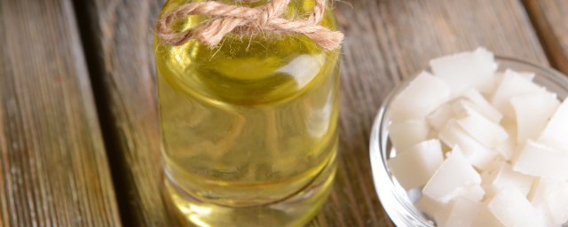 微型椰子树怎么养殖(小型椰子树怎么养)