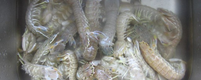 怎么清洗皮皮虾(怎么清洗皮皮虾去虾线)