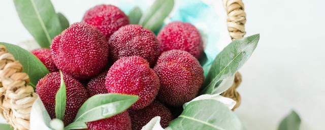 望梅止渴的含义(望梅止渴的含义并用望梅止渴造句)