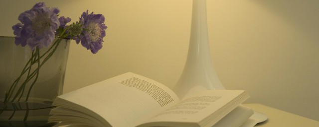 人的磁场是什么意思(一个人的磁场是什么意思)