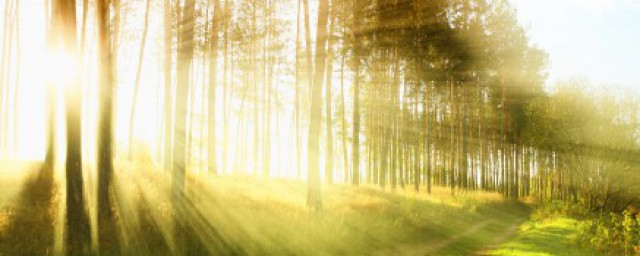 护肤中防晒是哪一步(防晒是护肤最后一步)