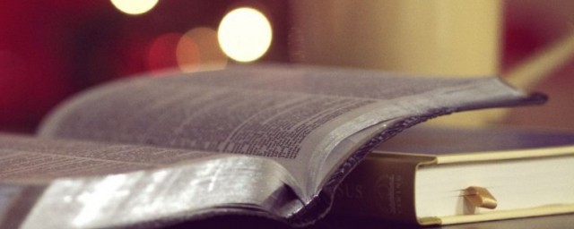 唇亡齿寒含义(唇亡齿寒的什么意思)