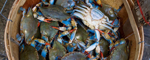 如何蒸河蟹(如何蒸河蟹?多长时间?)