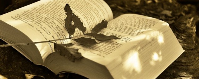 猴子建筑师含义(猴子建筑师是什么道理)