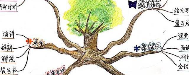 怎么做思维导图(怎么做思维导图好看)