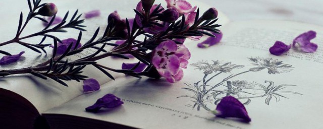 五十度灰内容(五十度灰)