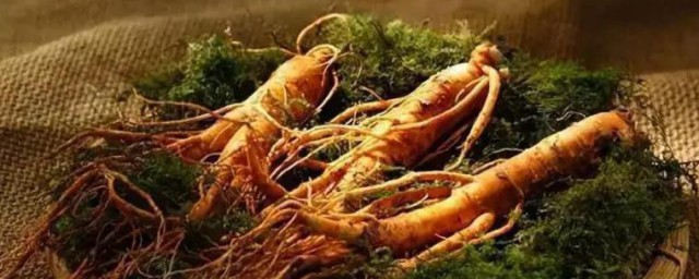 东北三宝是哪三宝(东北三宝是哪三宝乌拉草)