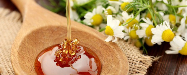 关于黄柏蜜的功效和禁忌介绍(黄柏蜂蜜功效与作用及禁忌症)