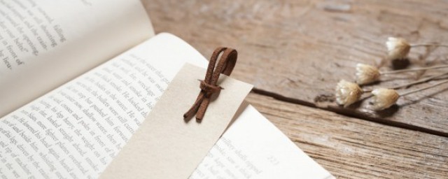 后汉书西海的介绍(《后汉书》中西海是指)