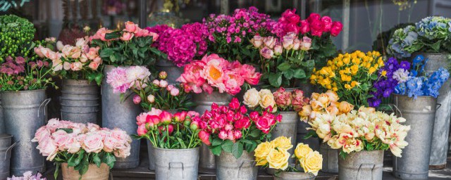 各种花的花语汇总(所有花的花语大全列表)
