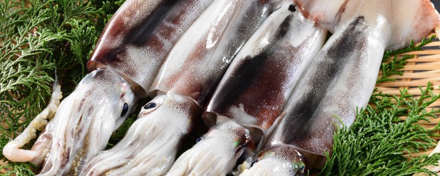 墨鱼猪骨煲汤怎么做(墨鱼骨怎样煲汤)