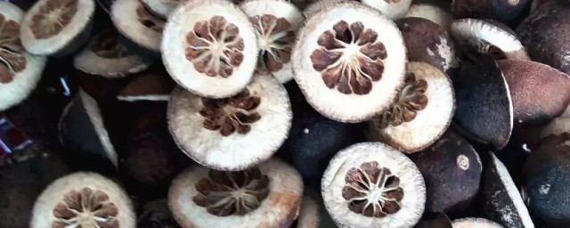 浙八味介绍(浙八味包括哪些)