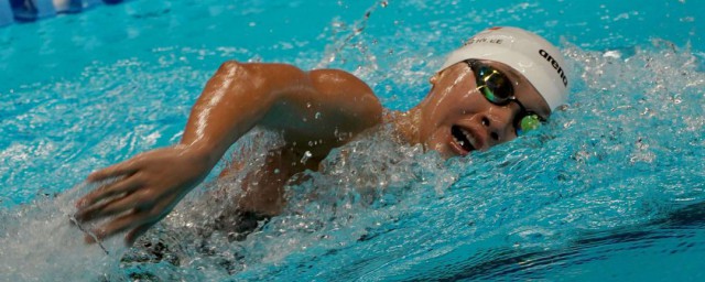 王简嘉禾介绍(王简嘉禾个人简历)