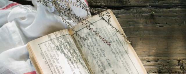 谁被誉为诗家夫子(被称为诗家夫子的是哪位人物)