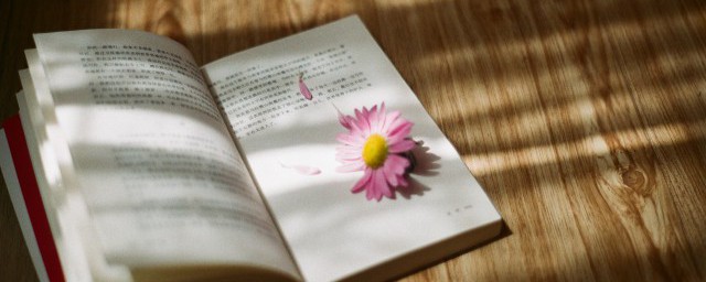 中国古代十大俗语都有哪些(中国常用的俗语)