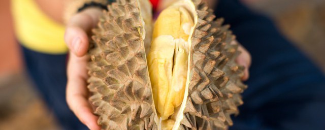 榴莲皮怎么做好吃(榴莲皮怎么做法)