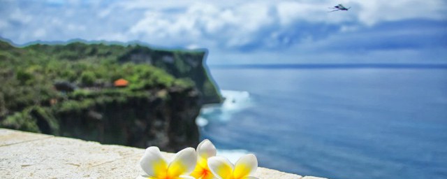 关于迟日江山丽的全诗赏析(古诗《迟日江山丽》)