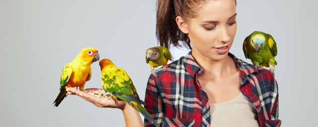 笼中鹦鹉的道理(关在笼中的鹦鹉像什么)