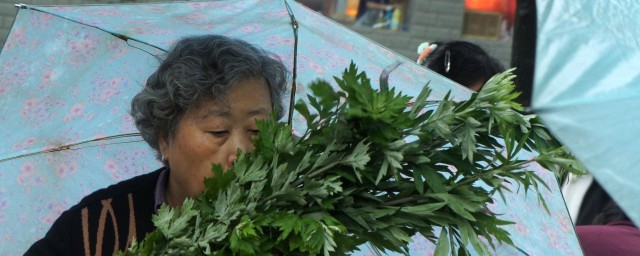 端午节采艾蒿有什么意义(什么节日采艾蒿)