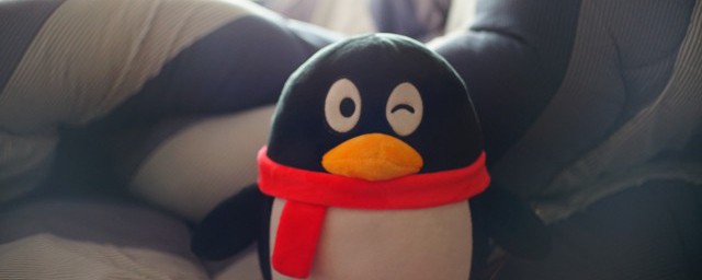 企鹅属于鸟类吗(企鹅属于鸟类吗?说明理由,资料来源于)