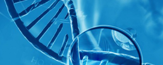 生物安全的范畴是什么(生物安全是指什么)