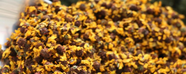 关于昆仑雪菊有6大功效(昆仑雪菊的功效与作用及食用方法)