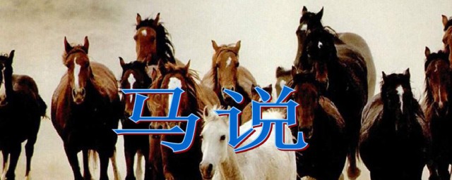 马说简介(马说简介翻译)