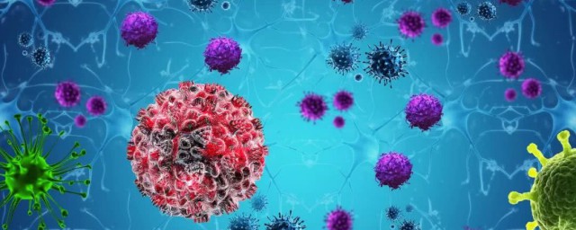 病毒结构是什么(病毒基本结构是什么)