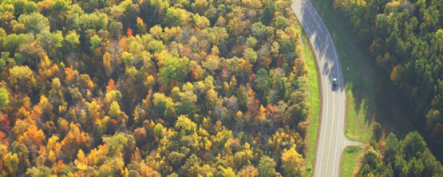 人与自然的关系是(人与自然的关系是人类依赖自然)